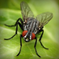 /album/lenergie-libre/photolia-a01-jpg/