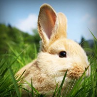 /album/lenergie-libre/photolia-a03-jpg/