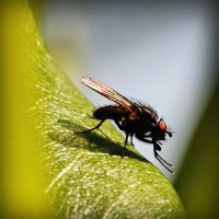 /album/lenergie-libre/photolia-a04-jpg/