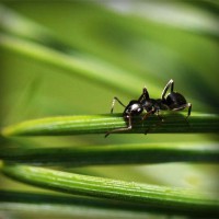 /album/lenergie-libre/photolia-a05-jpg/