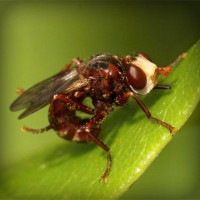 /album/lenergie-libre/photolia-a06-jpg/